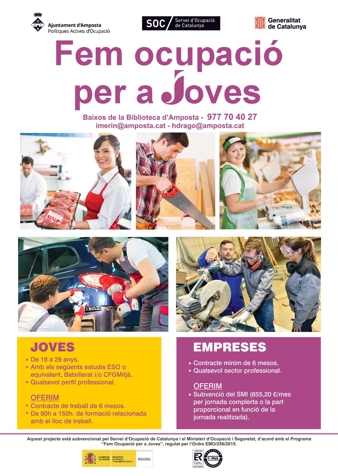 Ajuntament d´Amposta > Comunicació > Fins a 114 joves podran participar als nous programes de formació i treball del SOC a Amposta